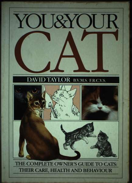 You & Your Cat