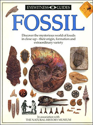 DK Eyewitness Guides:  Fossil