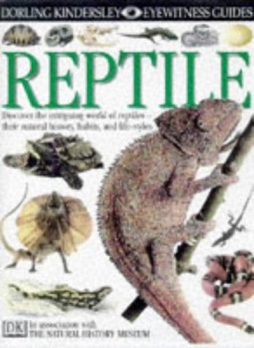 Reptile