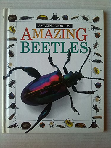 Amazing Worlds 14:  Beetles