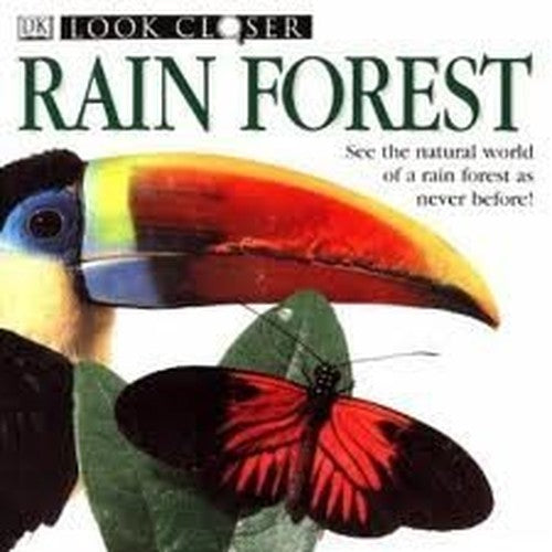 3 Rainforest