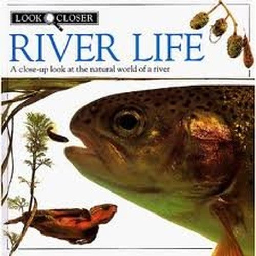 5 River