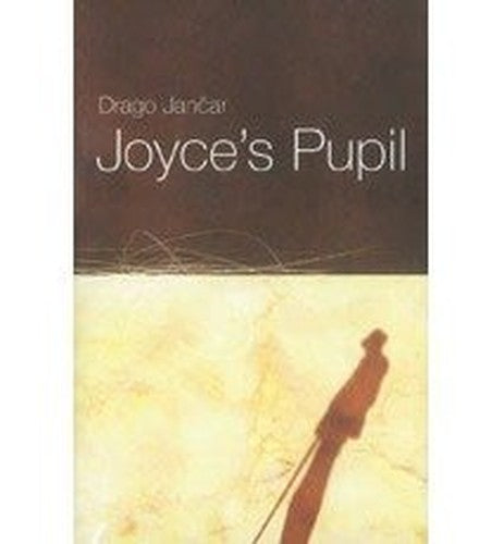Joyce's Pupil