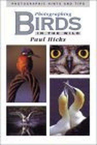 Photographing Birds in the Wild