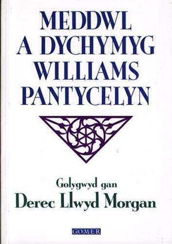 Meddwl a Dychymyg Williams Pantycelyn