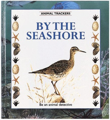 By the Seashore