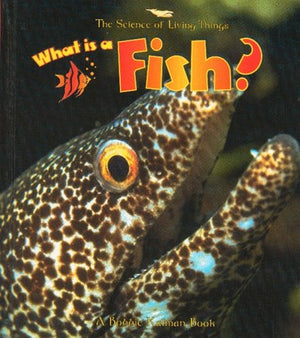 What is a Fish?