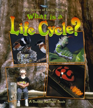 What Is A Life Cycle?
