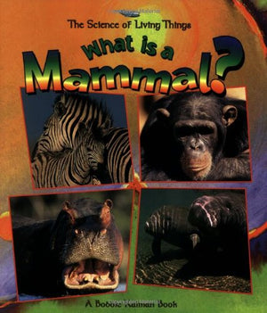 What Is A Mammal