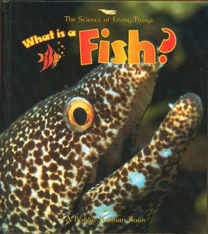 What Is A Fish