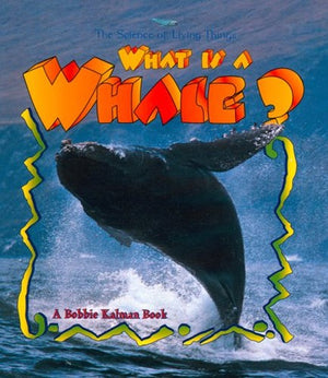 What is a Whale?