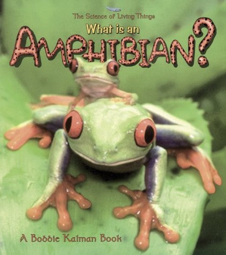 What Is An Amphibian