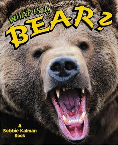 What Is A Bear?