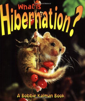 What is Hibernation
