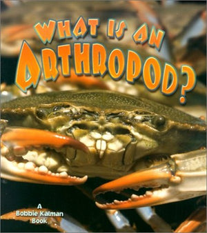 What is an Arthropod