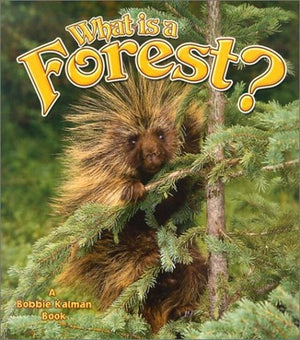 What is a Forest