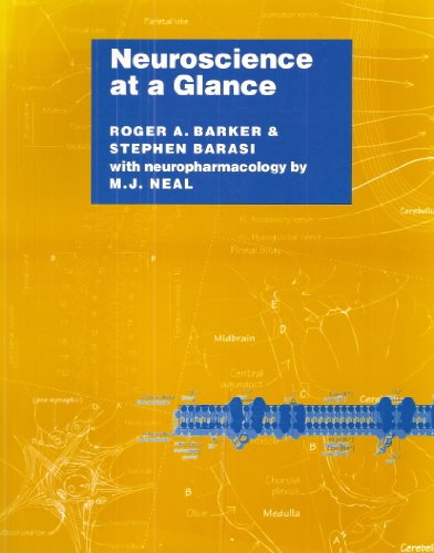 Neuroscience at a Glance