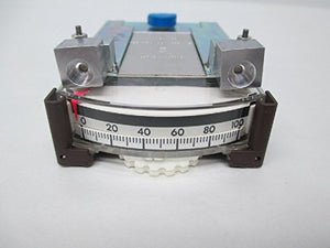 Striped Bass Fishing 