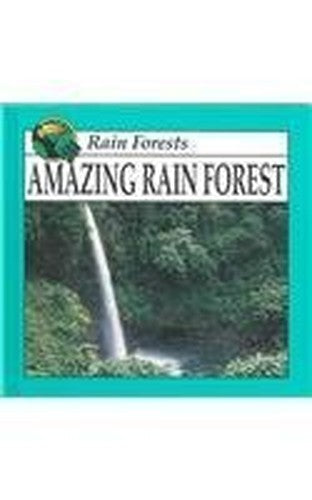 Amazing Rain Forest
