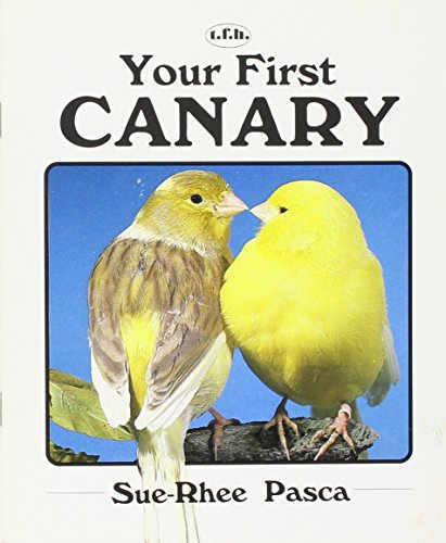 Your First Canary