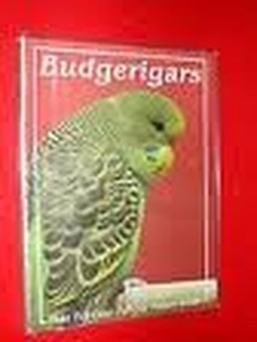 Budgerigars