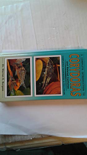 Complete Guide to Corydoras