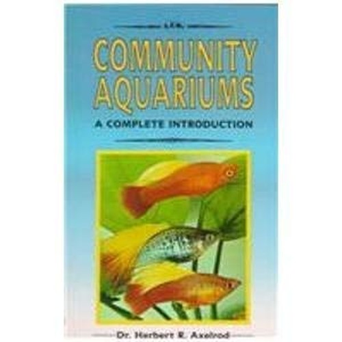 A Complete Guide to Community Aquariums