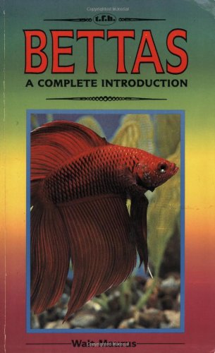 Bettas