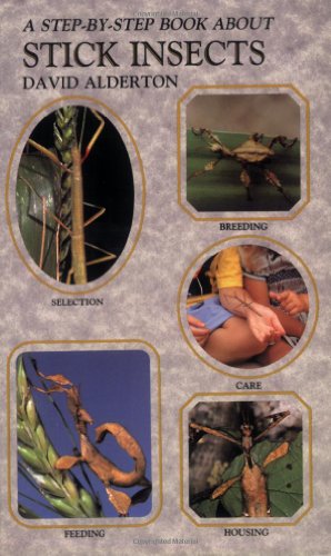 Step by Step Book About Stick Insects