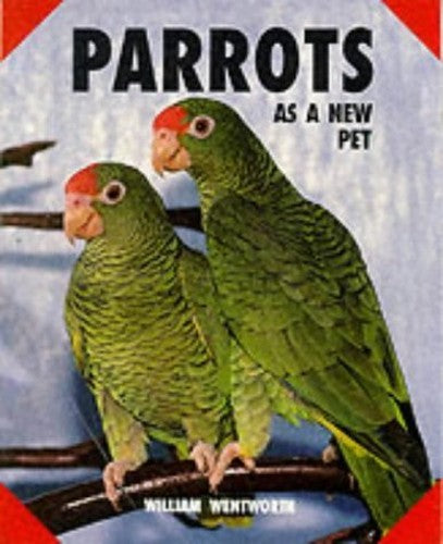 Parrots as a New Pet