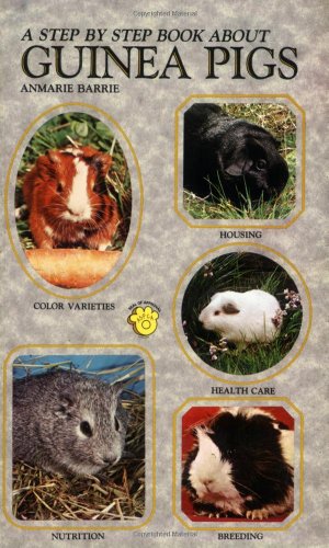 Step-by-step Book About Guinea Pigs