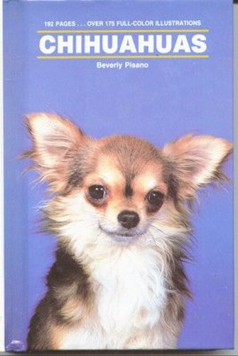 Chihuahuas