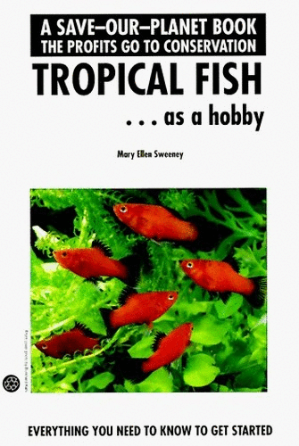 Tropical Fish as a Hobby