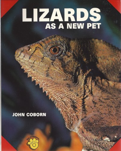 Lizards as a New Pet