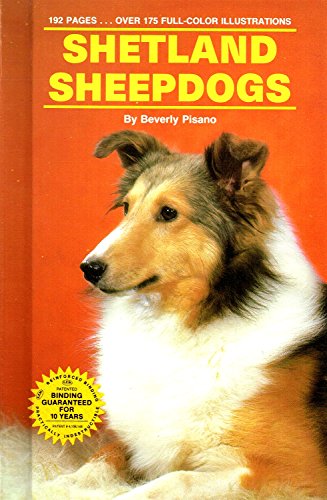 Shetland Sheepdogs