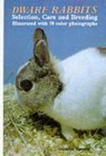 Dwarf Rabbits
