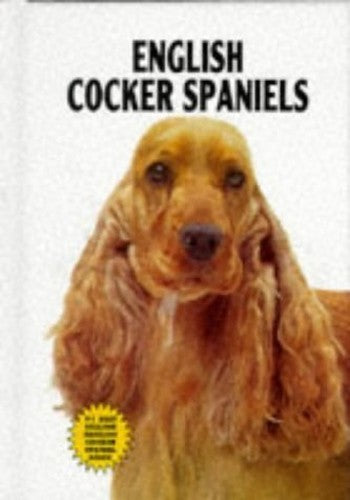 English Cocker Spaniel