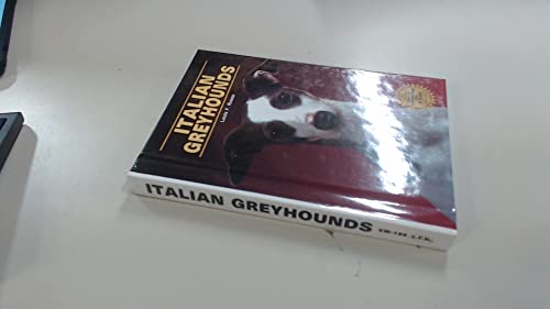 Italian Greyhounds
