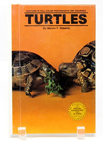 Turtles