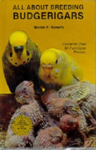 All About Breeding Budgerigars