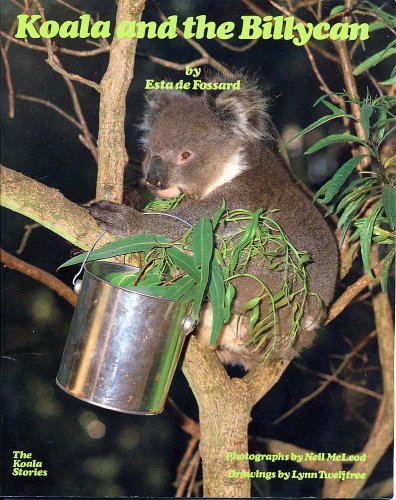 Koala and the Billycan