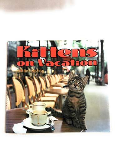 Kittens on Vacation