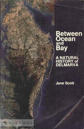 Between Ocean and Bay