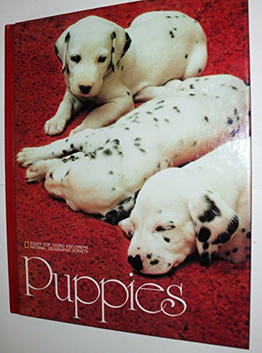 Puppies