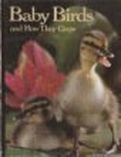 Baby Birds