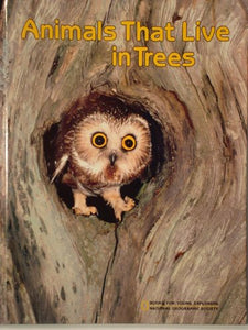Animals That Live in Trees 