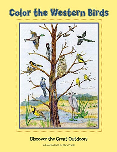 Color the Western Birds