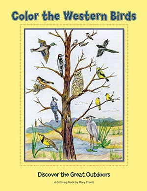 Color the Western Birds