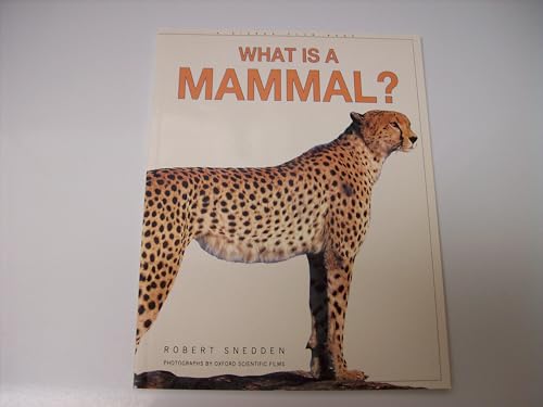 What is a Mammal?
