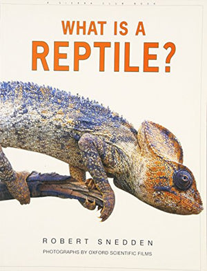 What is a Reptile?